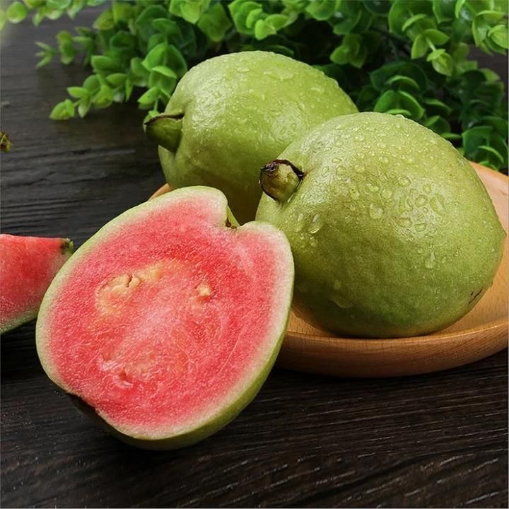Organic Guava Seeds (Free Pot Mixture 100 gm)