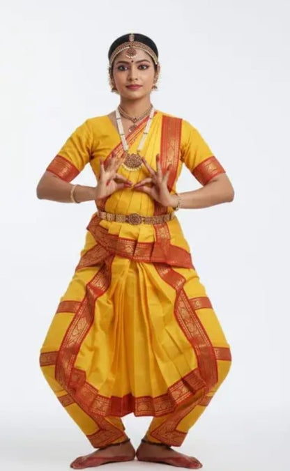 Girls Bharatanatyam Dress&nbsp;