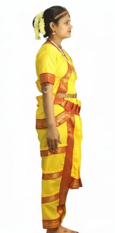 Girls Bharatanatyam Dress&nbsp;