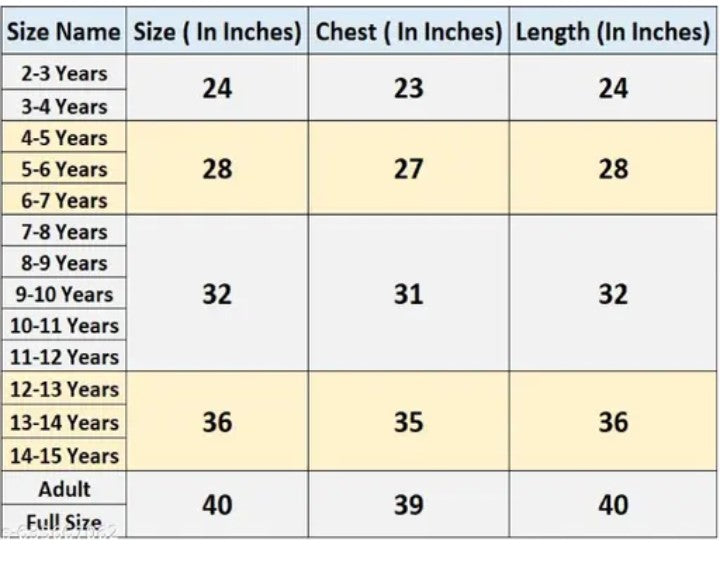 Girls Bharatanatyam Costume Set