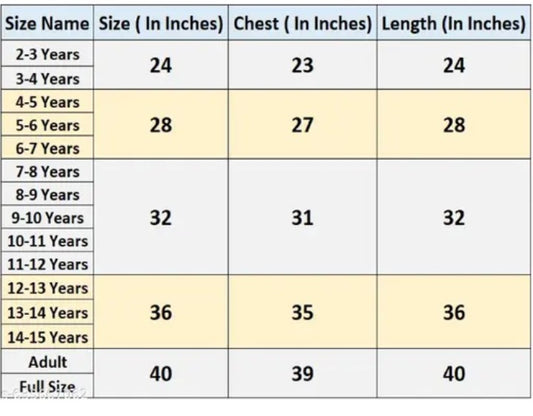 Girls Bharatanatyam Costume Set